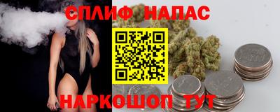 МДПВ Краснознаменск