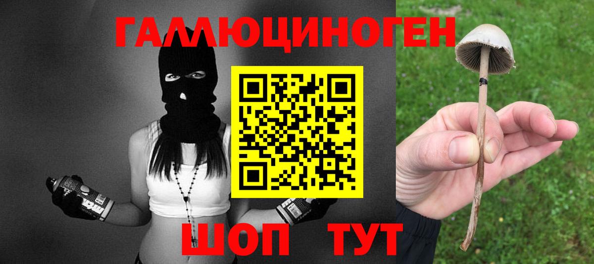 Дубна  где купить наркоту  Вход с VPN  Галлюциногенные грибы мицелий 