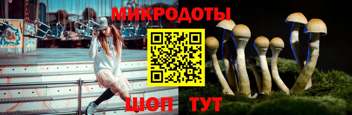 Псилоцибиновые грибы Psilocybine cubensis Дубна